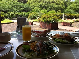 天気のいいガーデンを見ながらのまったりランチ