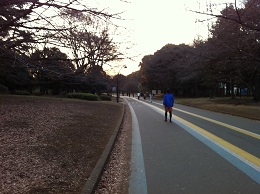 駒沢公園のランニングコース