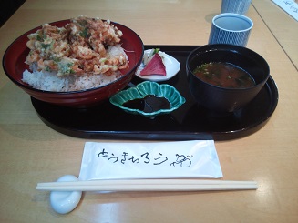 桜海老かき揚げ丼膳