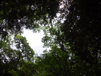 西沢渓谷(5)