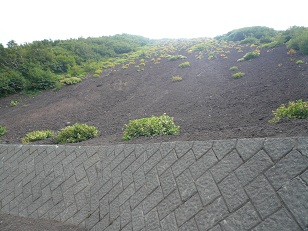 見上げても頂上は見えない