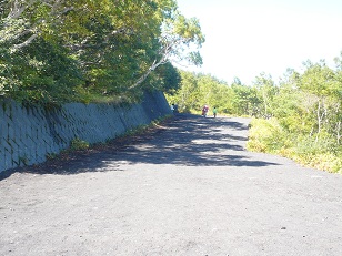 登山道