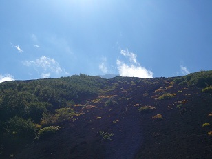 登山道から頂上を望む