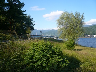 河口湖半(3)
