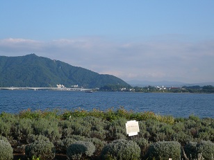河口湖半(7)
