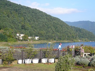 河口湖半(8)