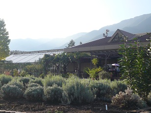 河口湖自然生活館