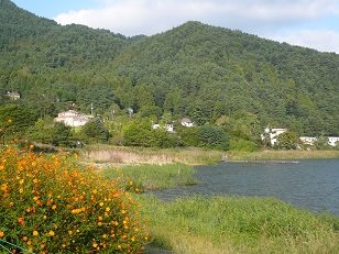 河口湖半(9)