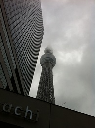 スカイツリーを見上げる