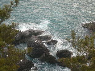 北山崎(8)