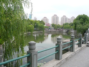 ホテルからオフィスへの道で(7)公園2